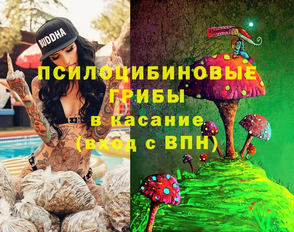 гашик Абинск