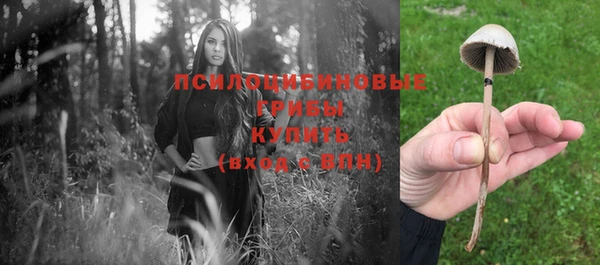 гашик Абинск